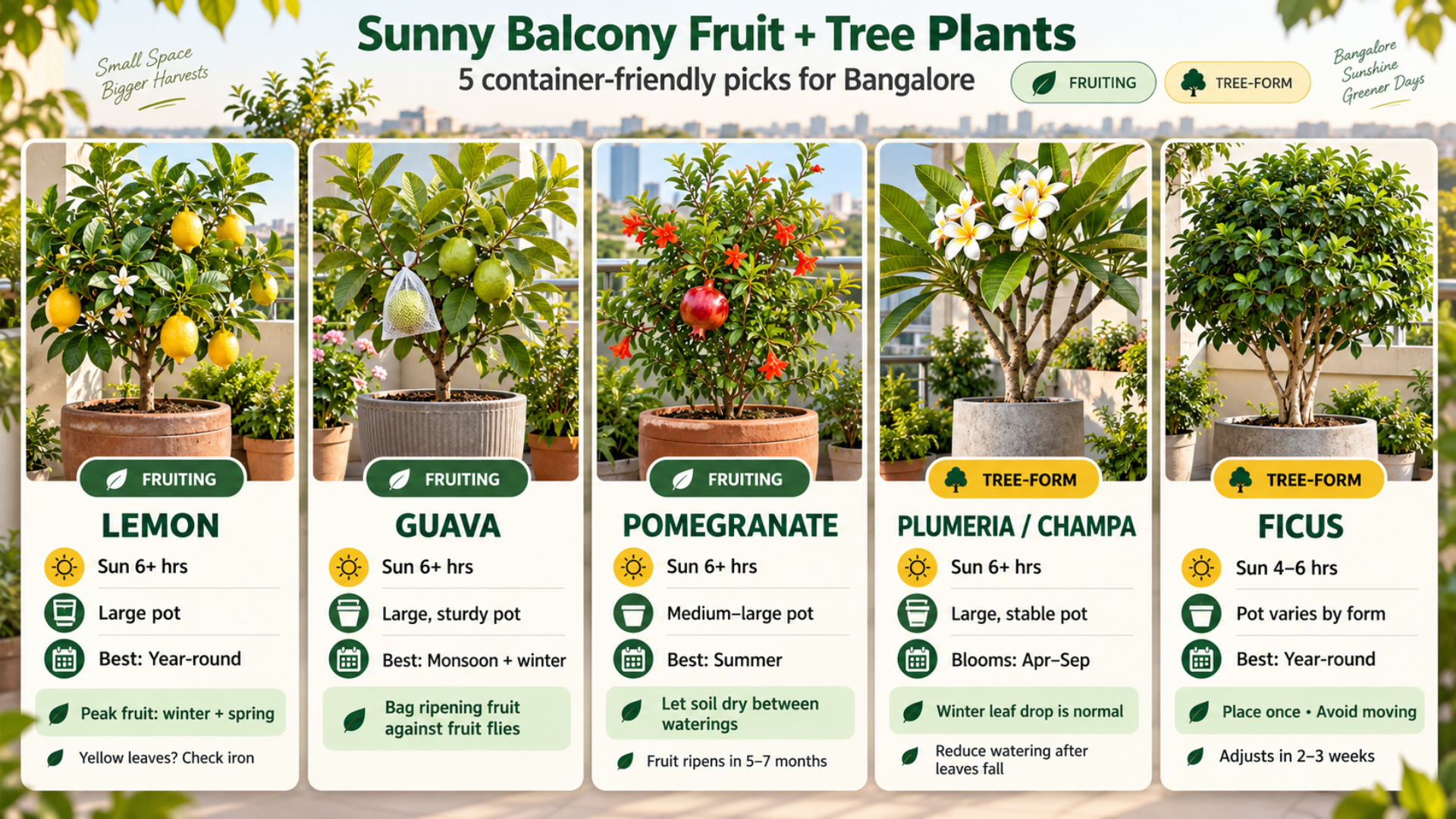 Fruit Plants and Balcony Tree Plants for Sunny Balconies Fruit and tree plants suitable for sunny Bangalore balconies including lemon, guava, pomegranate, and plumeria